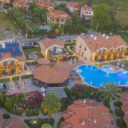 Live Hotel 3*