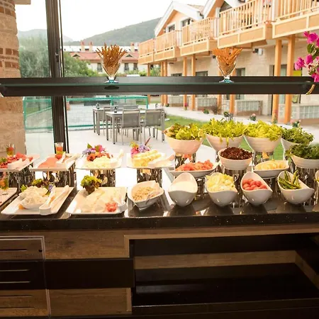 Live Hotel 3*